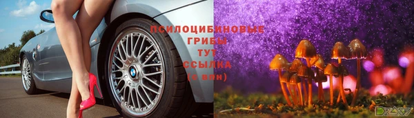 прущий лед Алзамай