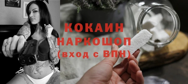 прущий лед Алзамай