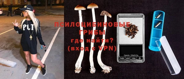 дурь Алексин