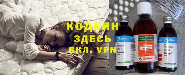 дурь Алексин